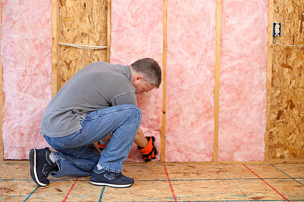 Best Insulation Materials and Products in Dupont, WA
